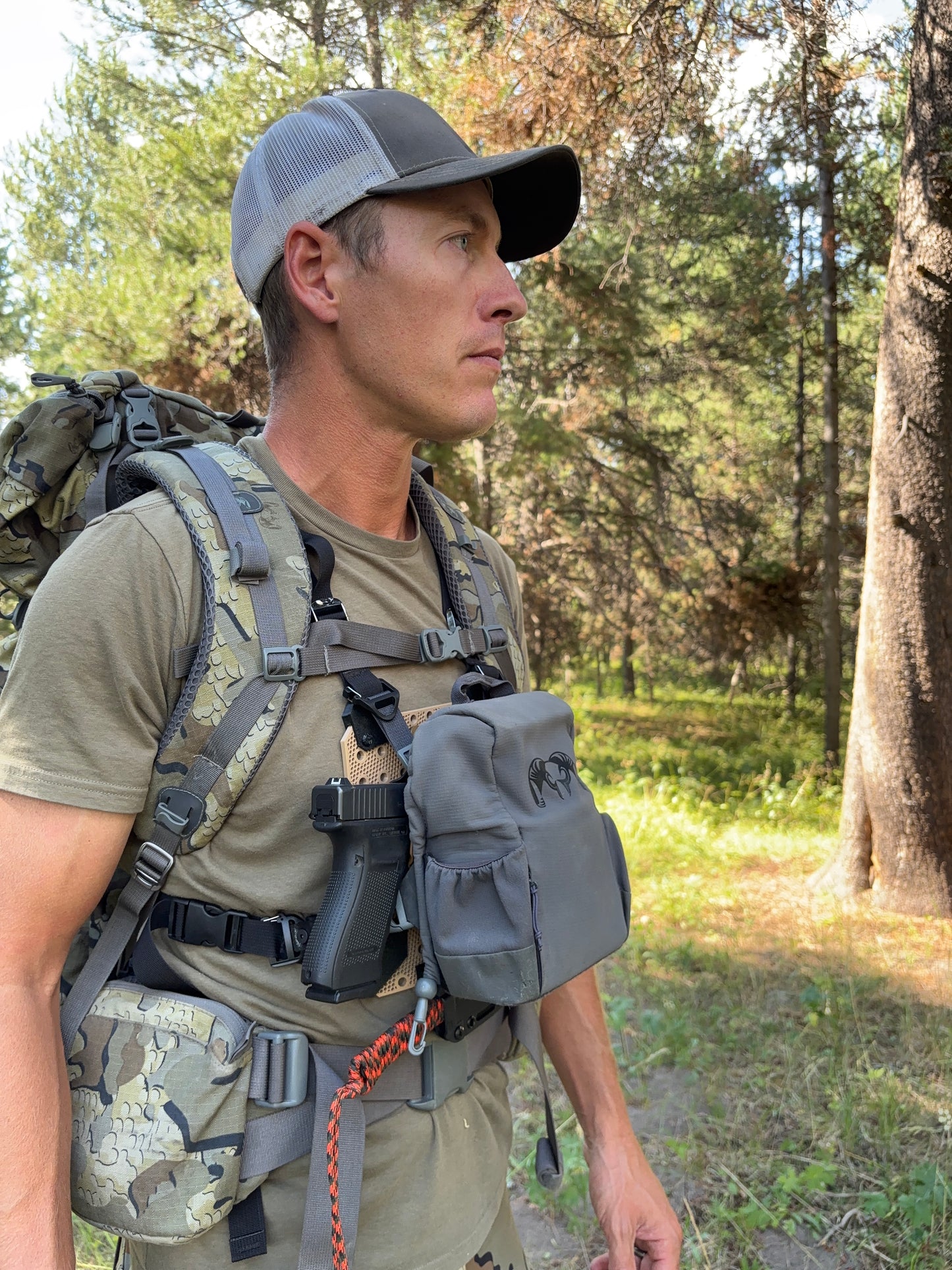 Fusion Harness