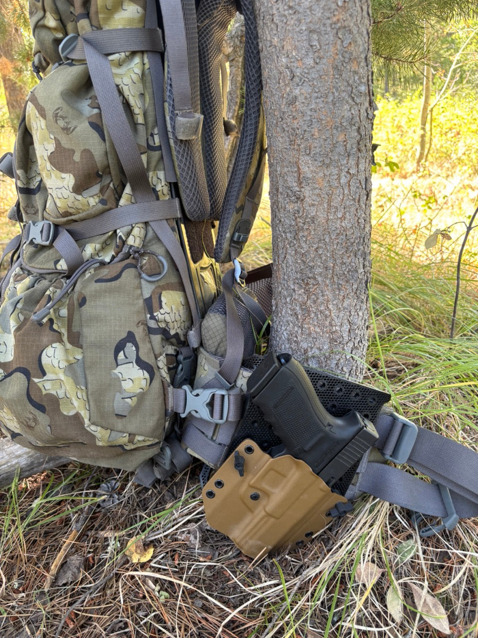 Hip Plate for backpacks